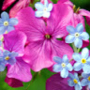 Meet your Posher, Black